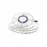 2835/126 LED ЛЕНТА 6400K IP20 24V